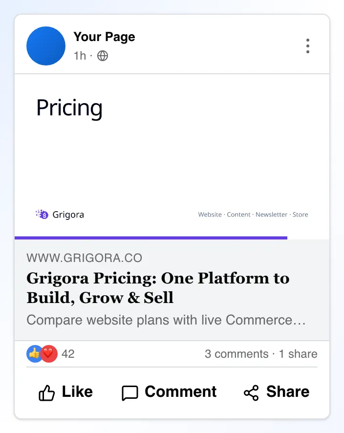 Social Snippet Checker showing its result
