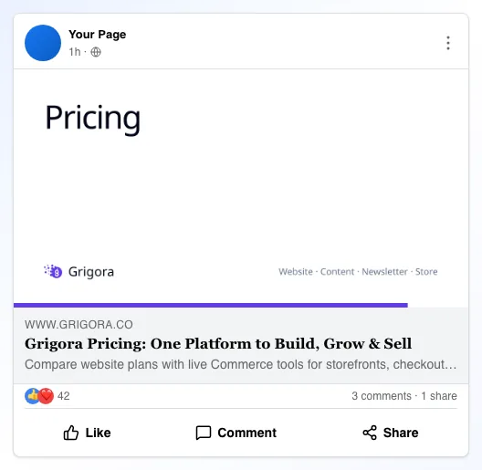 Social Snippet Checker showing its result
