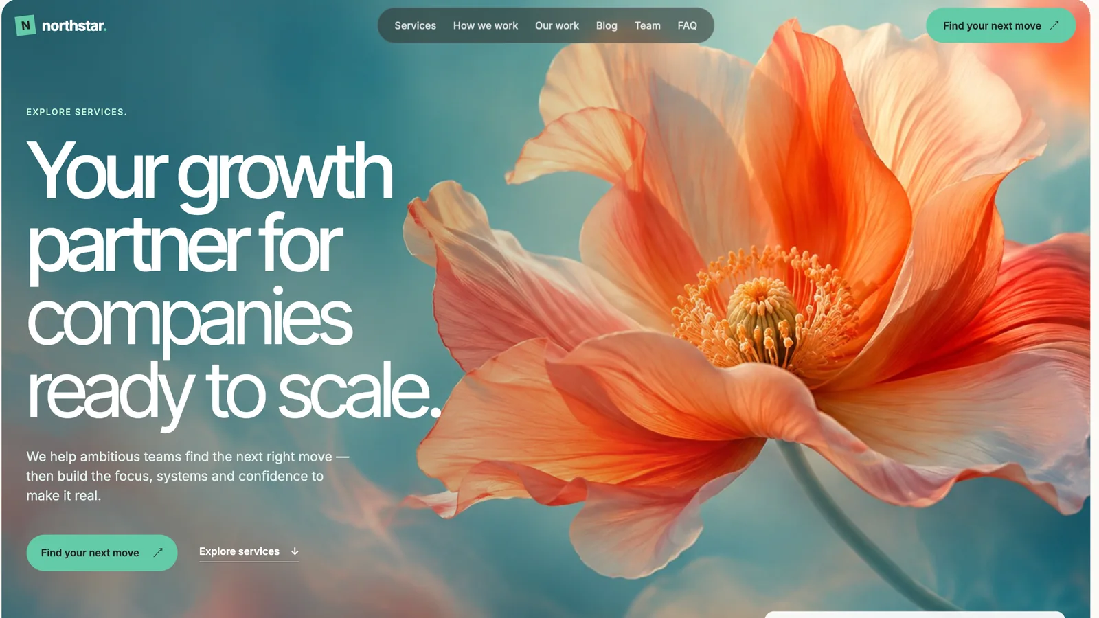 Northstar website example with a bold headline, navigation and an orange flower hero image